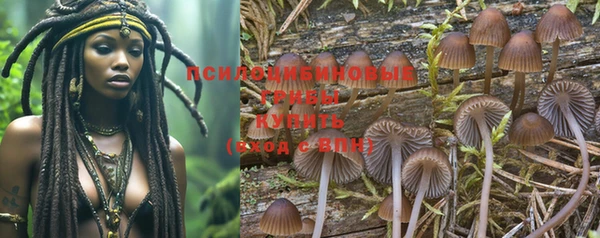 стафф Зеленокумск
