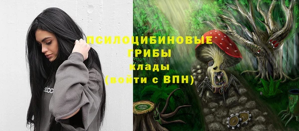 стафф Зеленокумск