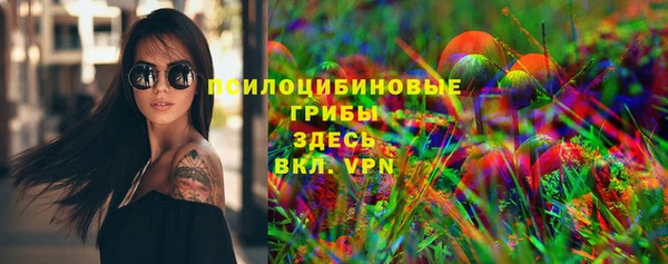 стафф Зеленокумск