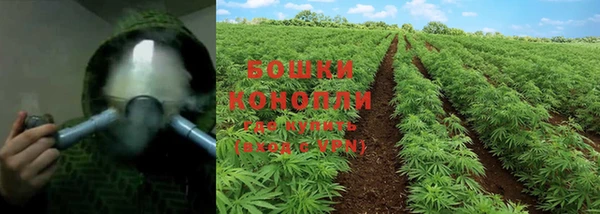 стафф Зеленокумск
